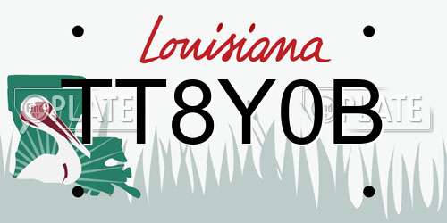 TT8Y0B Louisiana License Plate
