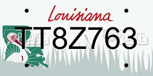 TT8Z763 Louisiana License Plate