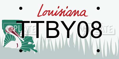 TTBY08 Louisiana License Plate
