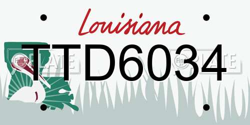 TTD6034 Louisiana License Plate