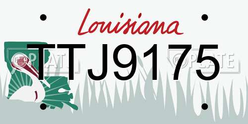 TTJ9175 Louisiana License Plate