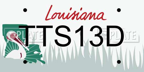TTS13D Louisiana License Plate