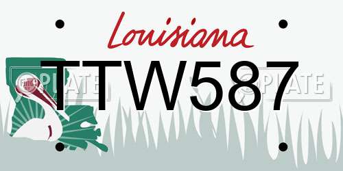 TTW587 Louisiana License Plate