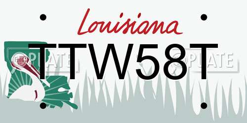 TTW58T Louisiana License Plate