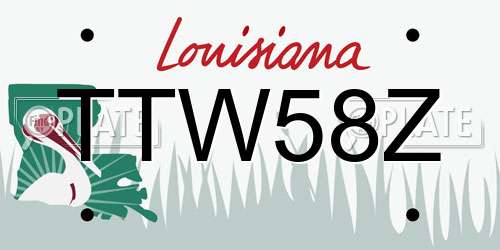 TTW58Z Louisiana License Plate