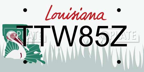 TTW85Z Louisiana License Plate
