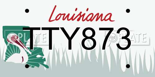 TTY873 Louisiana License Plate