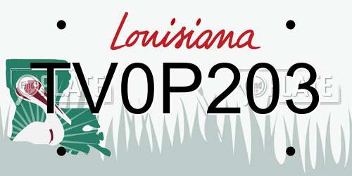 TV0P203 Louisiana License Plate