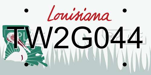 TW2G044 Louisiana License Plate