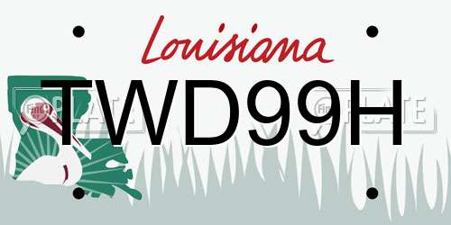 TWD99H Louisiana License Plate