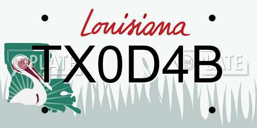 TX0D4B Louisiana License Plate