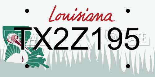 TX2Z195 Louisiana License Plate