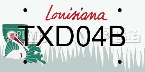 TXD04B Louisiana License Plate