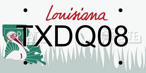 TXDQ08 Louisiana License Plate