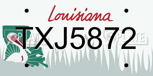 TXJ5872 Louisiana License Plate