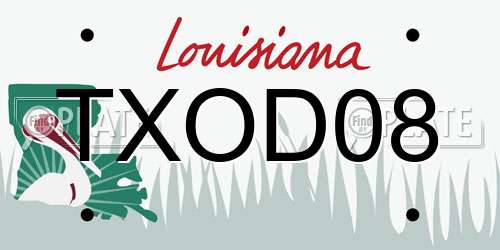 TXOD08 Louisiana License Plate
