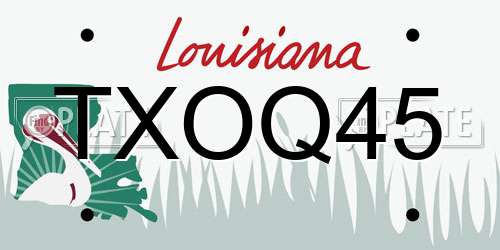 TXOQ45 Louisiana License Plate