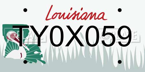 TY0X059 Louisiana License Plate