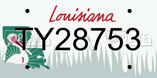 TY28753 Louisiana License Plate