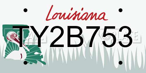 TY2B753 Louisiana License Plate