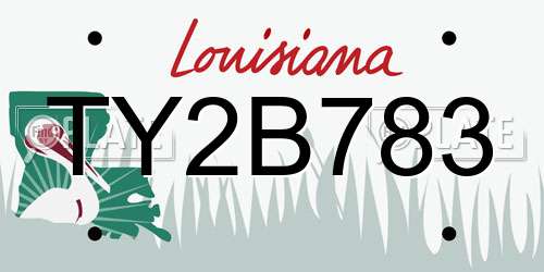 TY2B783 Louisiana License Plate