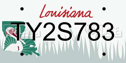 TY2S783 Louisiana License Plate