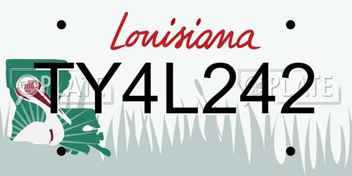 TY4L242 Louisiana License Plate