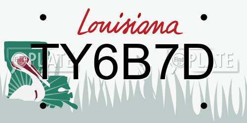 TY6B7D Louisiana License Plate