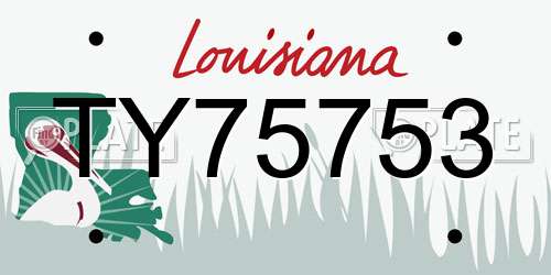 TY75753 Louisiana License Plate