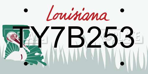 TY7B253 Louisiana License Plate