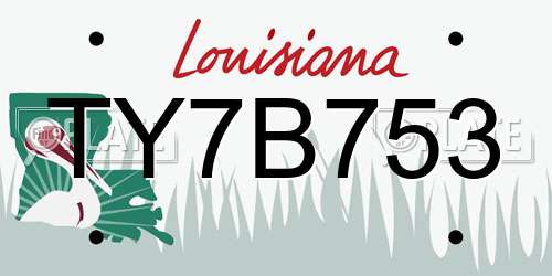 TY7B753 Louisiana License Plate