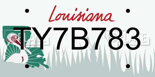 TY7B783 Louisiana License Plate