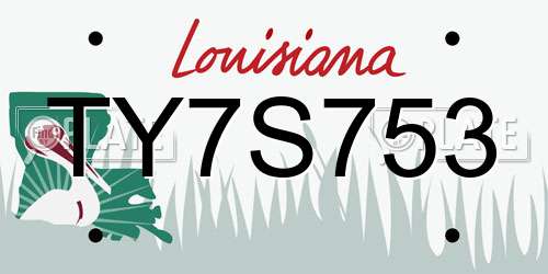 TY7S753 Louisiana License Plate