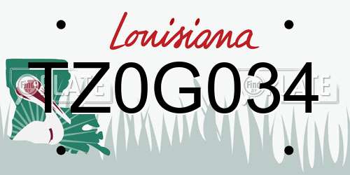 TZ0G034 Louisiana License Plate