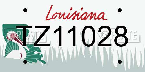 TZ11028 Louisiana License Plate