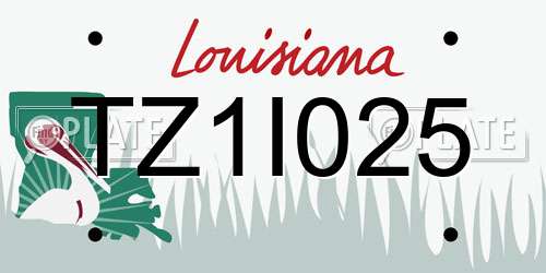 TZ1I025 Louisiana License Plate