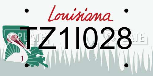 TZ1I028 Louisiana License Plate