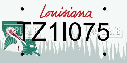 TZ1I075 Louisiana License Plate