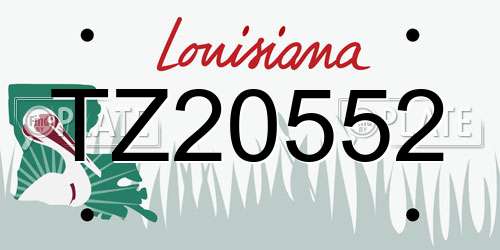 TZ20552 Louisiana License Plate