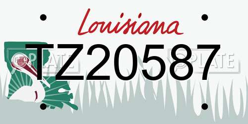 TZ20587 Louisiana License Plate
