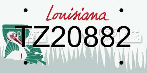 TZ20882 Louisiana License Plate