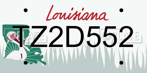 TZ2D552 Louisiana License Plate