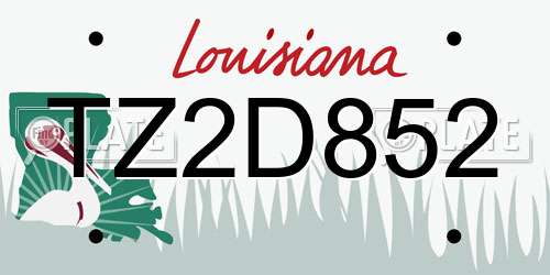 TZ2D852 Louisiana License Plate