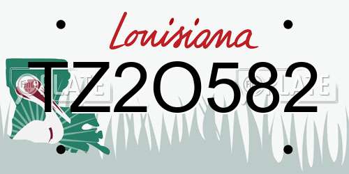 TZ2O582 Louisiana License Plate