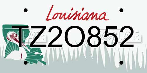 TZ2O852 Louisiana License Plate