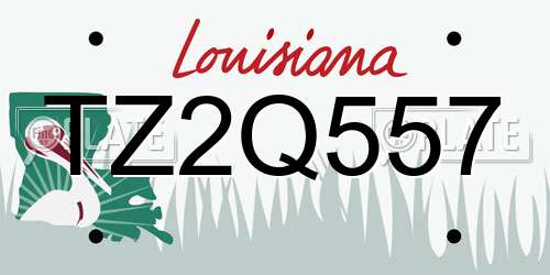 TZ2Q557 Louisiana License Plate