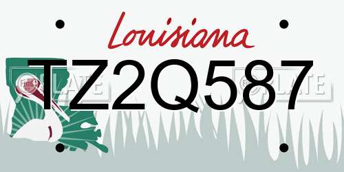 TZ2Q587 Louisiana License Plate