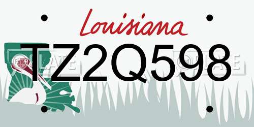 TZ2Q598 Louisiana License Plate