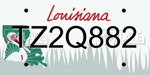 TZ2Q882 Louisiana License Plate