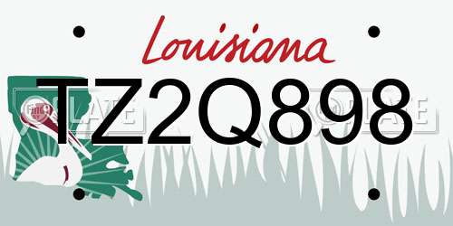 TZ2Q898 Louisiana License Plate